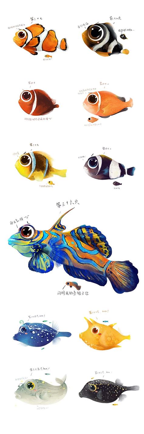 手绘版鱼类辨识01|插画|商业插画|水母咪 - 原创作品 - 站酷 (ZCOOL)