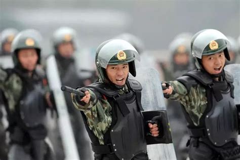 出击！武警兵团总队某部战术演练有看头 - 中国军网
