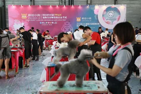2019第22届亚洲宠物展-日清_上海旭平展览展示有限公司