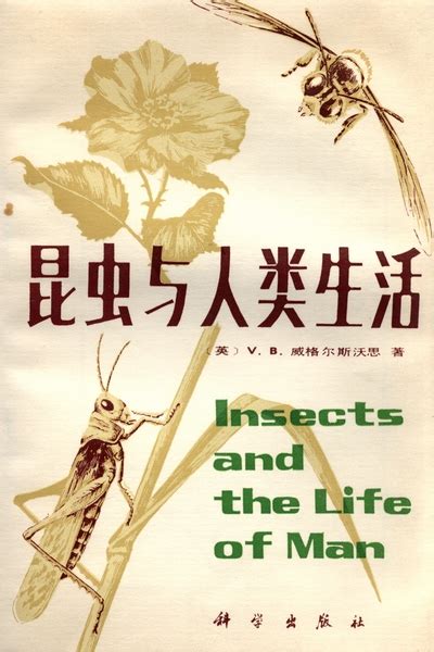 昆虫与人类的关系，昆虫与人类的生活关系是怎样的 – 百场汇