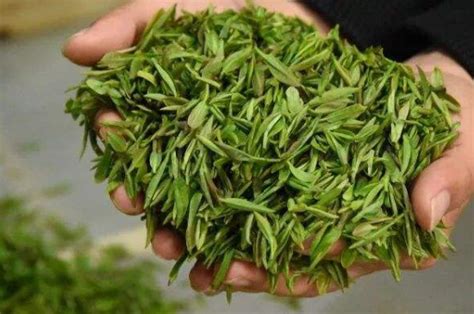 最贵的信阳毛尖多少钱一斤（价格高达74.5万元- 茶文化网