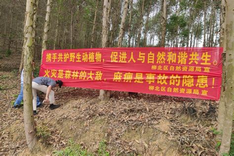 当代广西网 -- 柳州市领导到柳北区进行生态乡村建设调研