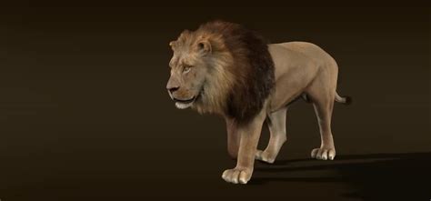 狮子 3D模型 免费下载 - 3DCOOL 3D酷站