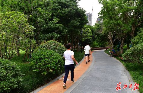 中国首个城市口袋公园设计导则7月1日正式实施