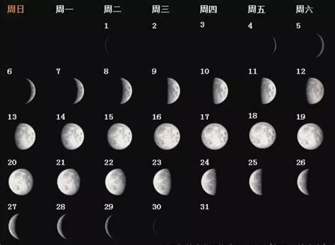 今日月相图图片