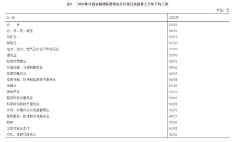 2019年江西省城镇私营单位就业人员年平均工资46341元