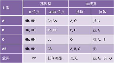 abo血型,a型传,a型鉴定(第6页)_大山谷图库