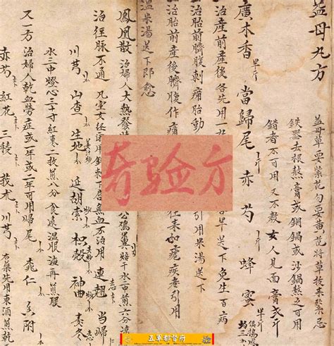 道中华丨《三国志》最早的手抄本为何出现在新疆？ - 中国民族宗教网