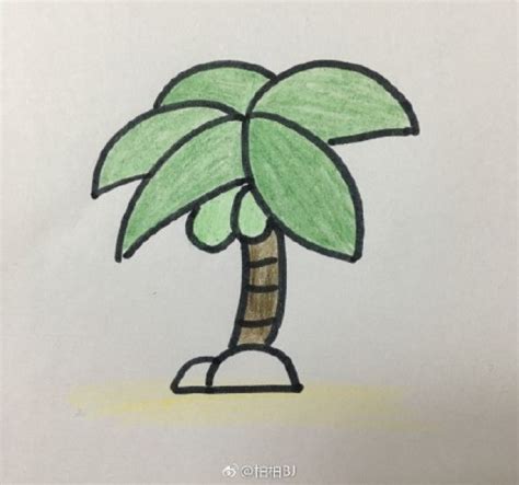 椰子树简笔画怎么画？椰子树卡通画儿童画手绘教程(2)[ 图片/16P ] - 才艺君