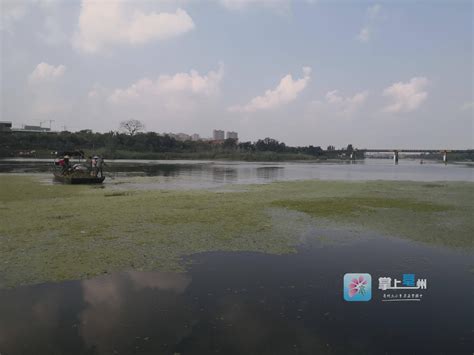修复涡河水生态!亳州市谋划一批重大水利项目 - 液压汇
