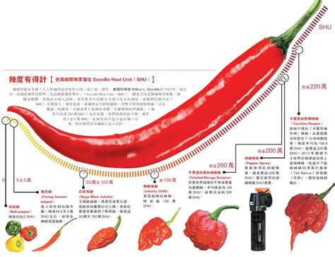 世界上有哪些常见的辣椒品种? - 知乎