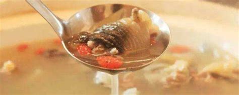 清炖甲鱼汤怎么做_清炖甲鱼汤的做法_豆果美食