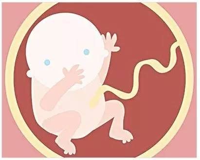 发现胎停育的早期征兆怎么办？-香港方健医疗诊所