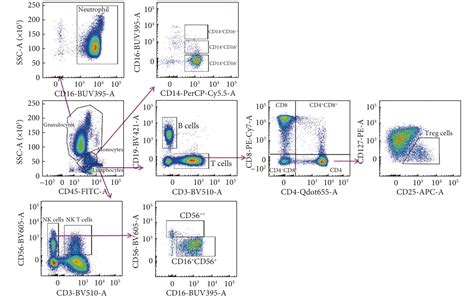 NK细胞表型的圈门策略和流式分析