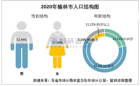 (榆林市)2020年府谷县国民经济和社会发展统计公报-红黑统计公报库