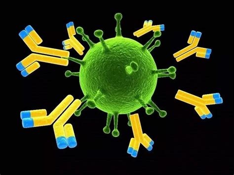 南开大学科研团队从分子水平评估新冠灭活疫苗诱导抗体-南开要闻-南开大学