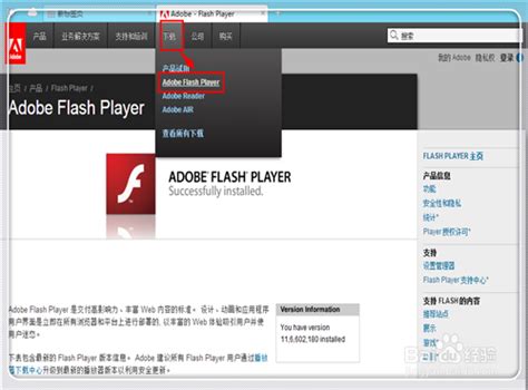 flash player怎么更新_驱动中国