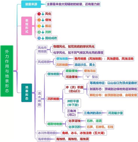 植物形态图解