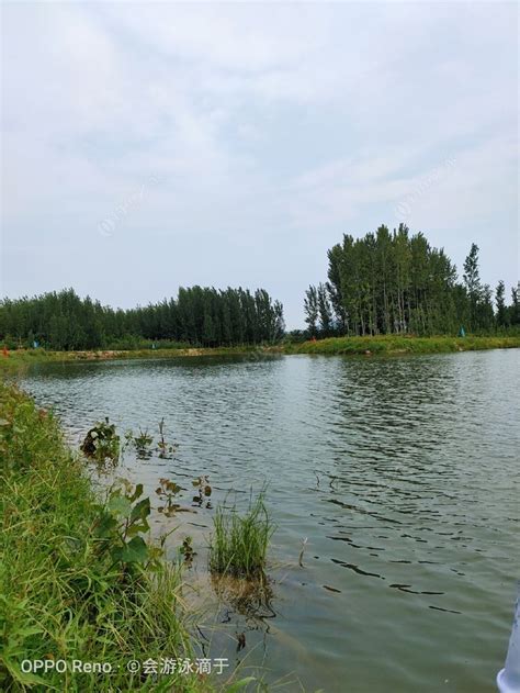 张庄水库_张庄水库地址_张庄水库电话 - 钓鱼之家