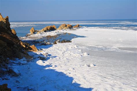 渤海海冰厚度与密集度