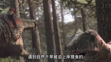 恐龙：棘龙vs霸王龙谁能胜出？战斗场面让人惊讶，求你们别打了！_腾讯视频