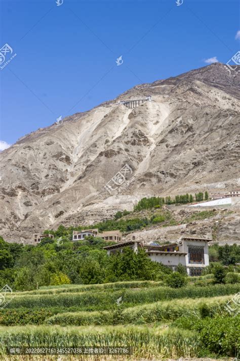 西藏-昌都-左贡,简介及游客评价-畅享自驾游