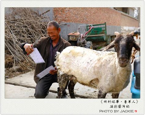 养羊场放羊工招聘,本人急找一个放羊的人,牛场招养牛工人包吃住_大山谷图库