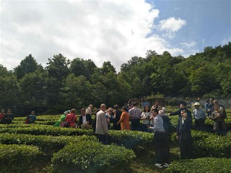 宜昌首家茶叶精深加工企业在远安建成投产