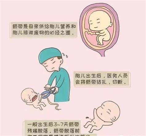 脐茸图片