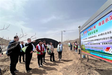 内蒙古自治区、呼和浩特市两级计生协举办党建共建活动 - 市内新闻 - 工作动态