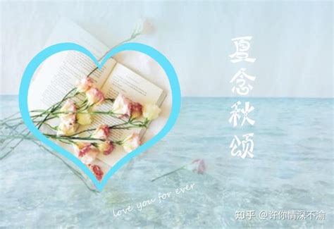 秋念图片