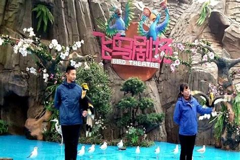 东湖飞鸟世界和武汉动物园哪个好玩_旅泊网