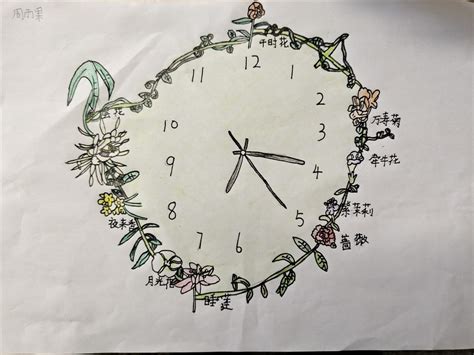 24小时的花钟怎么画,24小时花钟图片绘画,花钟怎么画图画_大山谷图库