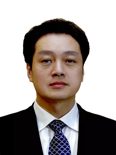 曾是外交部最年轻副部长，王超出任新职_凤凰网