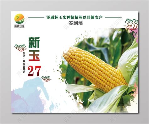 中农大玉米粮食农产品海报图片下载 - 觅知网