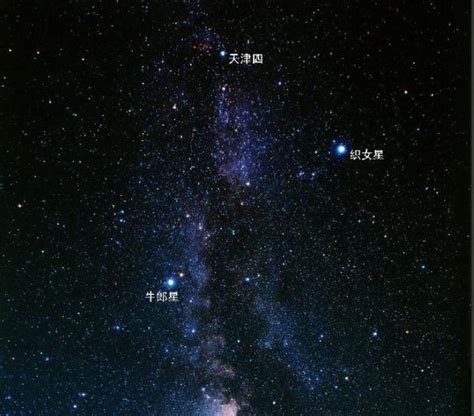 牛郎星是什么星座 - 业百科