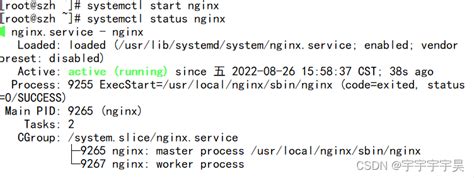 LNMP原理及源码安装LNMP、搭建论坛的shell脚本_lnmp探针getshell-CSDN博客