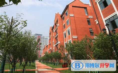 武汉海淀外国语实验学校2023年报名条件、招生要求、招生对象