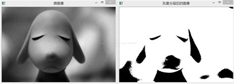 基于Csharp+OpenCV图像处理实战-6-L6_项目实战-答题卡识别项目(2)视频-CSDN程序员研修院
