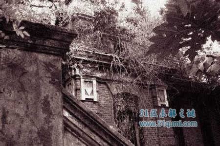 上海著名的吸血鬼事件,林家宅37号灵异事件,龙柱事件-51区未解之谜网