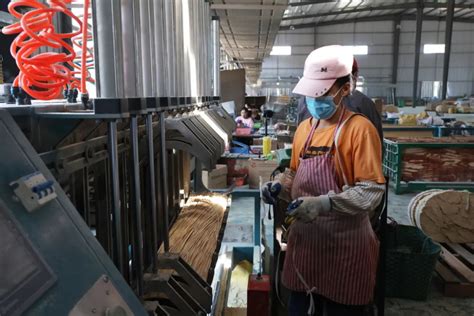 [南方+] 小竹子如何做成大产业？中国竹乡广宁县践行林下经济融合创新发展之路