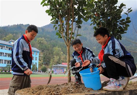 植树正当好时节，我为校园添新绿——代召实验小学植树节活动-邯郸市邯山区代召实验小学