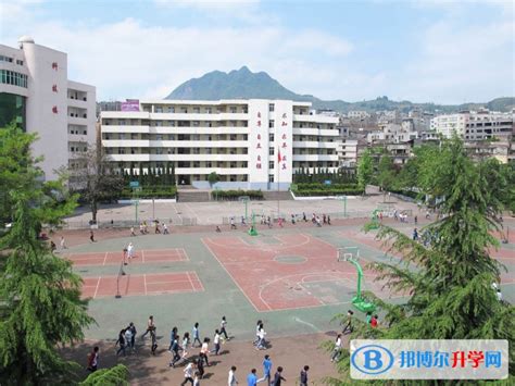 镇雄县第一中学2024年招生代码
