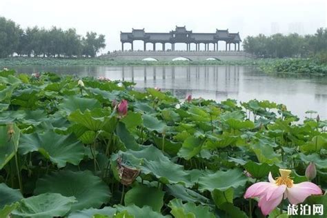 武汉沙湖公园摄影图__国内旅游_旅游摄影_摄影图库_昵图网nipic.com