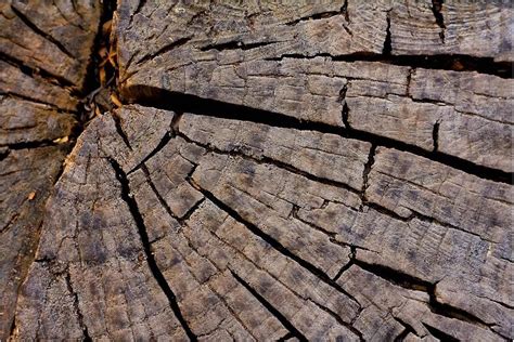 怎么防止木头开裂 - 业百科