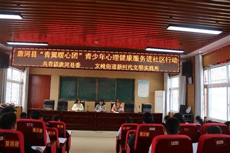 唐河县荣获2020年上半年全市招商引资工作第一名-唐河县人民政府网