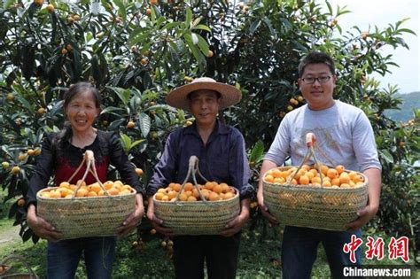 大学生回乡当“农创客”带动30余人就业 - 成功案例 - 中国就业网