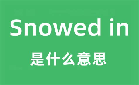 Snowed in是什么意思_Snowed in怎么读_Snowed in中文翻译是什么?_学习力