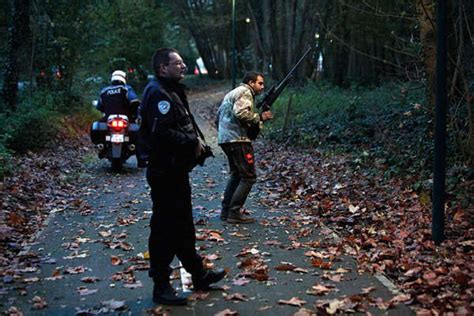 巴黎郊区迪士尼乐园附近发现老虎 60名警察持枪追捕|老虎|迪士尼乐园_凤凰旅游