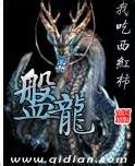 《盘龙之魔法传奇》小说在线阅读-起点中文网